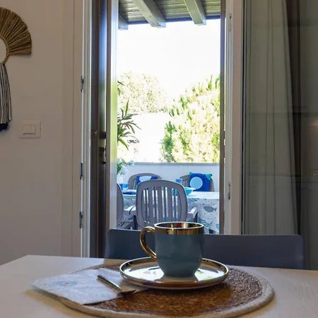 Recently Built House With Swimming Pool