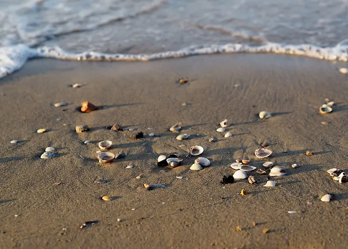 Apartment Recently Built House With Swimming Pool Bibione